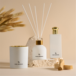 Eco-friendly Seaside Bonfire candle with earthy scent notes in sustainable kraft box, perfect for cozy coastal gifts